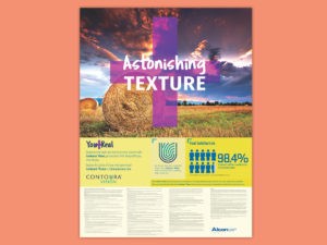 Astonishing Texture DFW Contoura Vision
