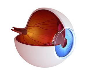 Eye Lens