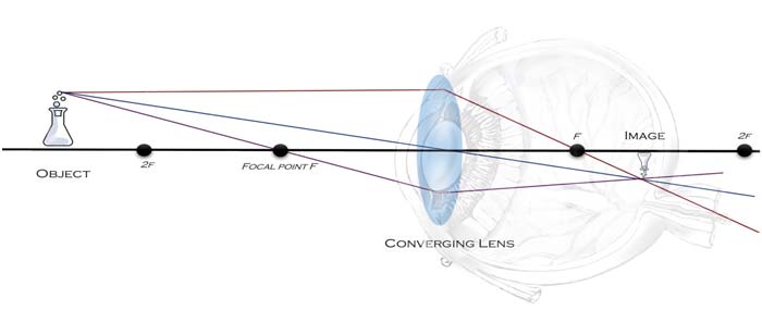 Light Refraction through Human Lens