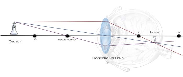 Light Refraction through Human Lens Light Refraction through Human Lens