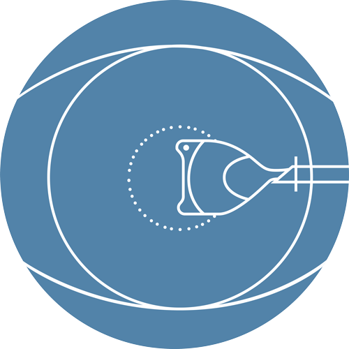 Lens Insertion and Positioning Icon